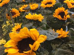 -花邻FloweringLife花艺气球派对(武康大楼店)