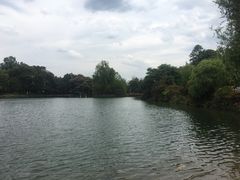 -蝴蝶泉公园