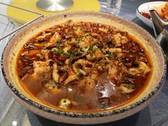 沸腾水煮鱼-同喜烤鸭店(光芒店)