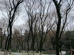 -柳莺湖上·湖景餐厅·江南菜(西湖店)