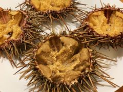 -海胆小馆(东北水饺·春柳店)