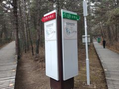 -帽儿山国家森林公园