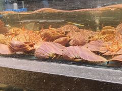 -龙宴海鲜城(经中路店)