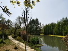 -桤木河湿地公园