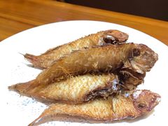 香煎英哥鱼-金穗园·砂锅粥.醉鸡煲火锅(长寿路店)