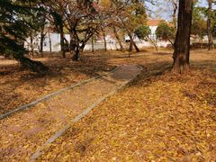-八大关景区
