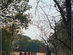 -上海滨江森林公园