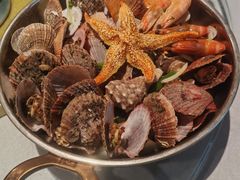 -悦海·家宴·冰花皮皮虾大锅贴(宝龙店)