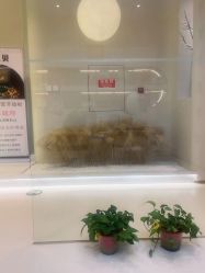 -佳妍惠美科技美肤美体中心