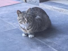 -北京德胜门华宇假日酒店·画廊咖啡厅