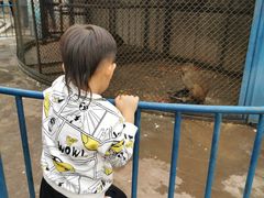 -森林公园(尖草坪区)