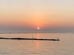 -贡湖湾湿地公园