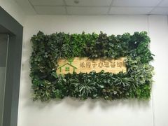 -绿房子心理咨询