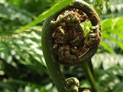 -国家植物园南园