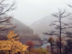 -四明山国家森林公园