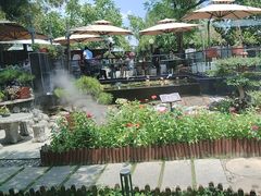 -蘇河湾·新鲁菜·泰山宴(泰山店)