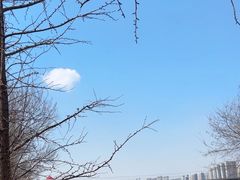 -长白岛森林公园