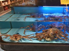 -阿伟海鲜楼·福建菜(延寿店)