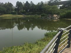 -美兰湖景区