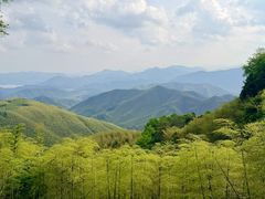 -莫干山风景区