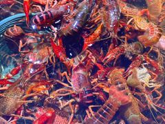 -聚盛源蒸汽海鲜火锅烤肉自助(巨川金海岸购物广场店)