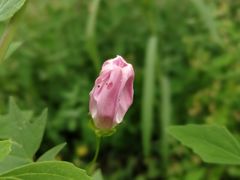 -长春公园(普阳街道)