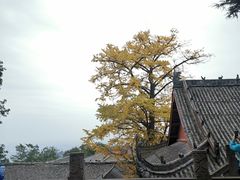 -金堂县云顶石城风景区