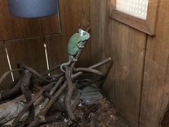 -上海大自然野生昆虫馆