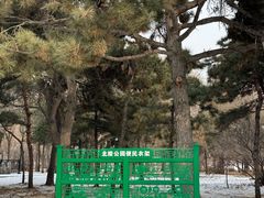 -北陵公园