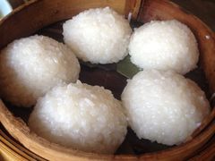茨毛圆子-双塔老饭店