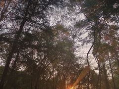 -赭山公园