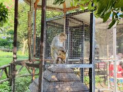 -武汉紫薇都市田园