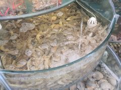 -仙螺岛海鲜自助餐厅(总店)