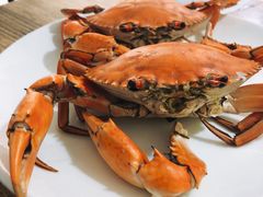 -杨记海鲜楼(三门黑金冠店)