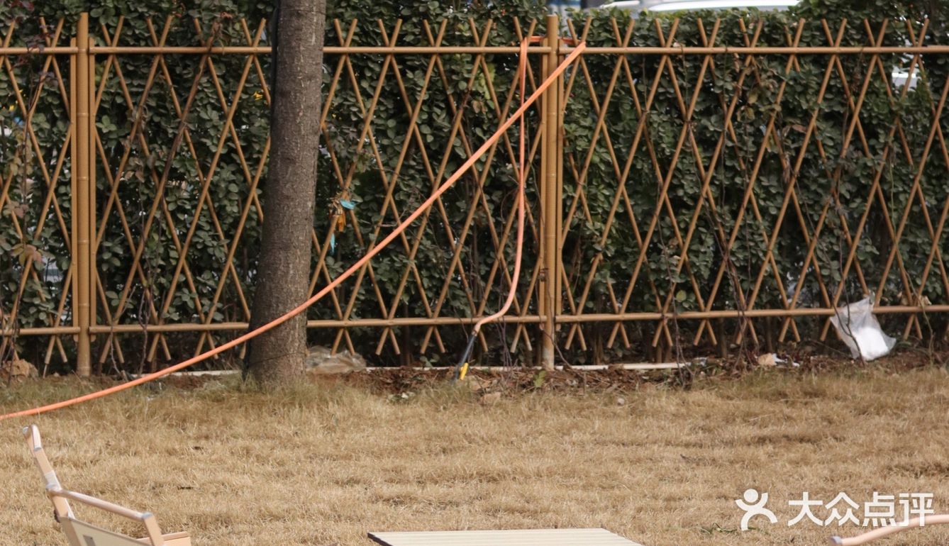 洛阳最近很火的咖啡店每次都能刷到