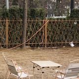 洛阳最近很火的咖啡店每次都能刷到