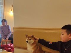 -柴の食堂·日式家庭料理·熊之肆(大学路店)