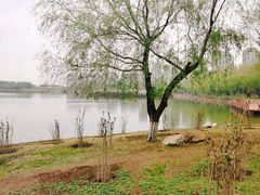-丁香湖公园