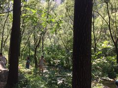 -碓臼峪自然风景区