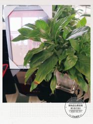 -锦尚名仕美容美发