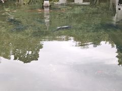 -杭州植物园