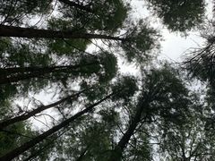 -东湖落雁景区