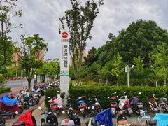 -映月湖中央公园