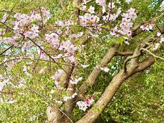 -梁鸿国家湿地公园