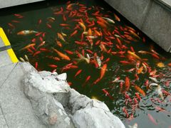 android_upload_pic-全季酒店（苏州观前街平江路店）(原临顿路地铁站店)