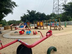 -广州长隆飞鸟乐园