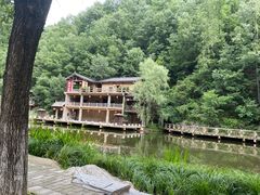 -牛背梁国家森林公园