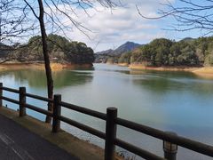 -千岛湖龙川湾