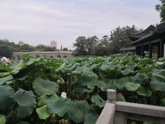 -南通濠河风景名胜区