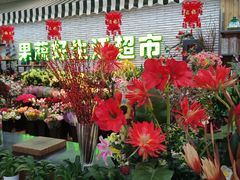 -果蔬好生活超市(新荟城店)